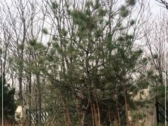 -Kings party 高端轰趴会所(朝阳北路店)