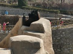 -石家庄市动物园