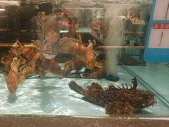 -阿伟海鲜楼·福建菜(延寿店)