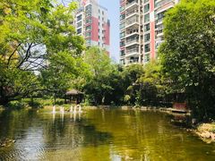 -世纪同乐绿地世纪城二期