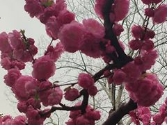 -元大都城垣遗址公园