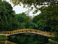 -晓港公园