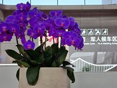 -合肥南站