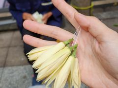 -小豆海棠(人民南路店)