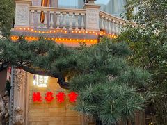 -叶叶菩提(太原别墅店)