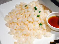 清炒河虾仁-和记小菜(东方店)