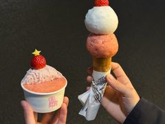 -红楼HONGLOU Gelato(淮海中路店)