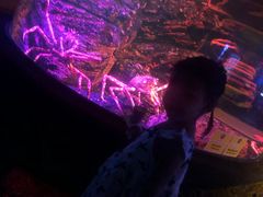 -暹罗海洋世界