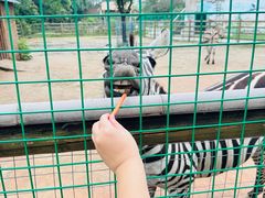 -苏州太湖西山岛开心农场