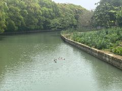 -同里国家湿地公园