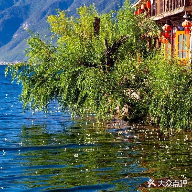 会把小白花送到离它根叶很远很远的地方