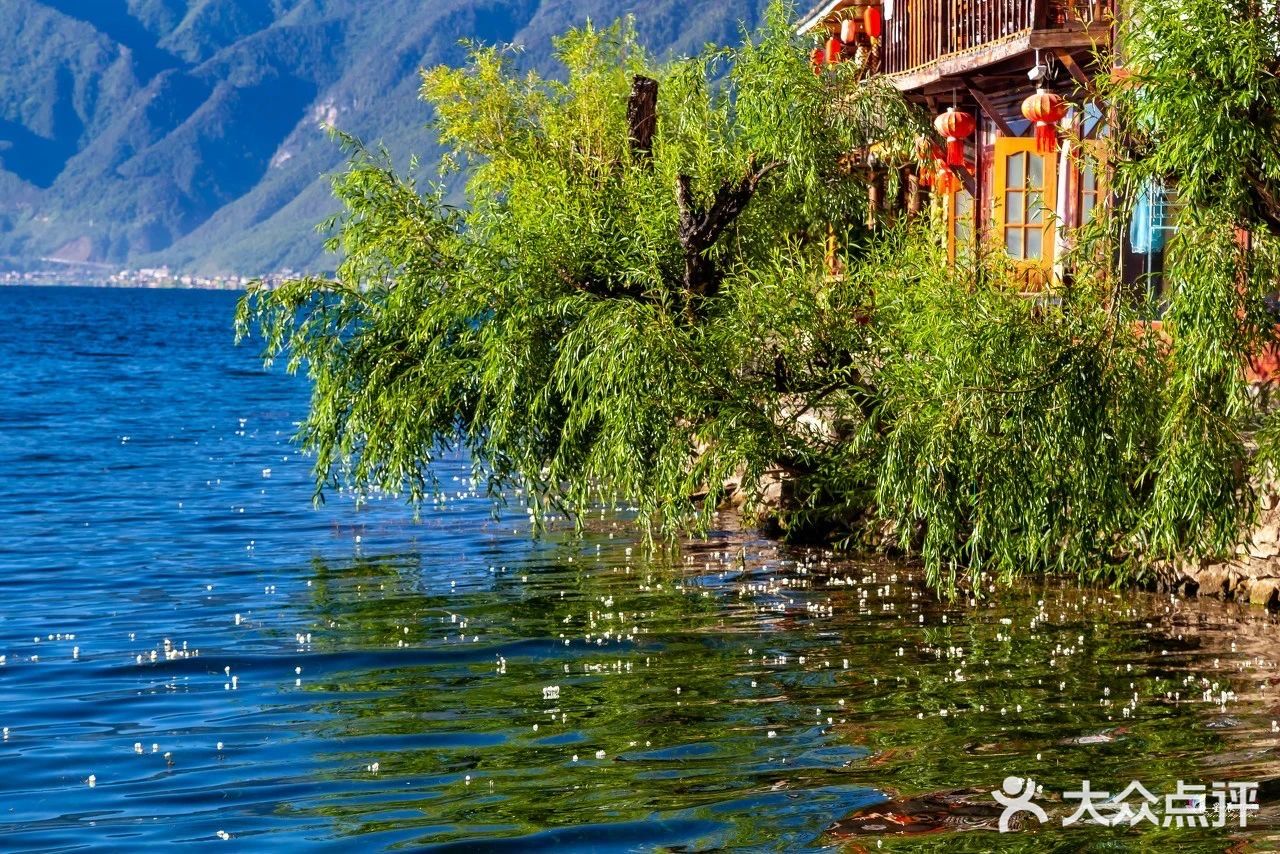 会把小白花送到离它根叶很远很远的地方