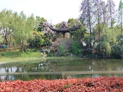 -武汉园博园(武汉自然博物馆)