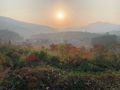 -塔川景区