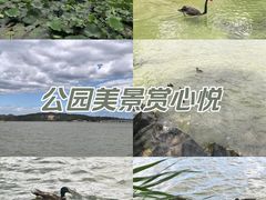 -颐和园