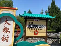 -大槐树寻根祭祖园