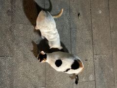 -光明港公园