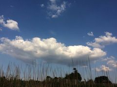 -紫颐香薰山谷景区