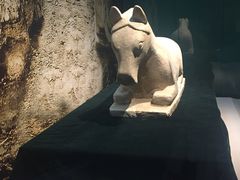 -宁夏博物馆