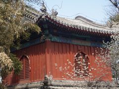 -大觉寺-停车场