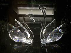 -BLACKSWAN黑天鹅(环球店)