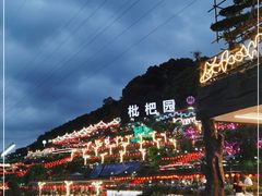 -枇杷园食为鲜火锅(南山店)