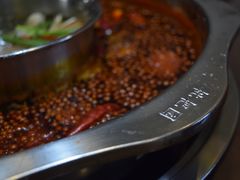 -枇杷园食为鲜火锅(南山店)