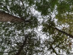-月湖风景区