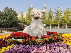 -永定河休闲森林公园