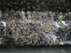 -大理.老字号渝记酸萝卜乌鱼(古城总店)