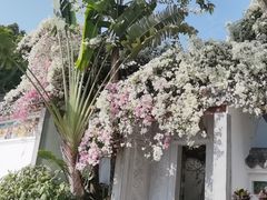 -深圳国际园林花卉博览园