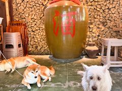 -青城甲(青城山店)