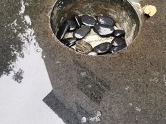 -徐家汇源景区-衡山坊