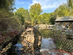 -三忘湖 SWANSEEN(柳荫公园店)