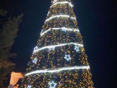 -海南清水湾莱佛士酒店