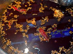 -青山青豆花·笑禅豆腐鱼(黄泥塝店)