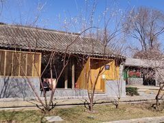 -春风习习