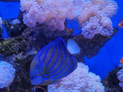 -多彩贵州城极地海洋世界