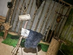 -阿尔谢尼耶夫远东历史博物馆(阿尔谢尼耶夫滨海区店)