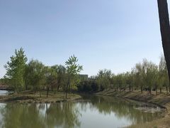 -东郊湿地公园