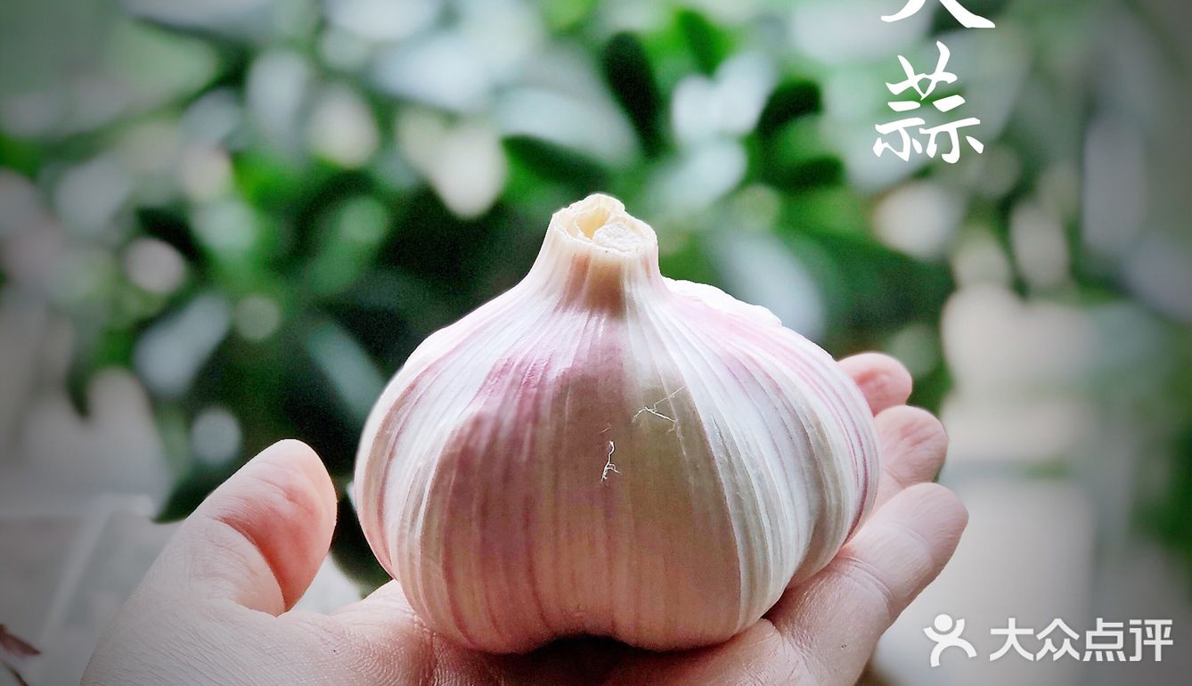 减肥菜谱｜酸甜可口的腌糖蒜