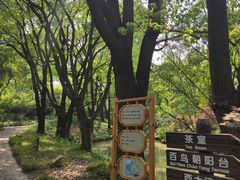 -汇龙潭