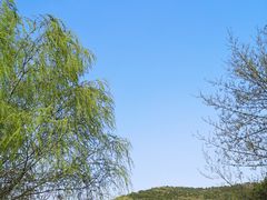 -石塘人家