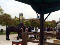 iphone_upload_pic-松声马术俱乐部