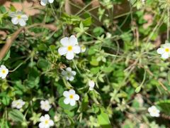 -北京上方山国家森林公园