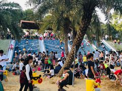 -宝安西湾红树林湿地公园