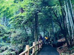 -藏龙百瀑风景区