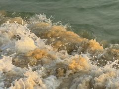 -玫瑰海岸文化旅游度假区