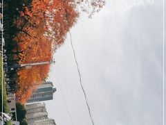 -仲盛世界商城