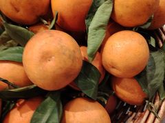 -九村烤脑花·两江非遗(创始总店)